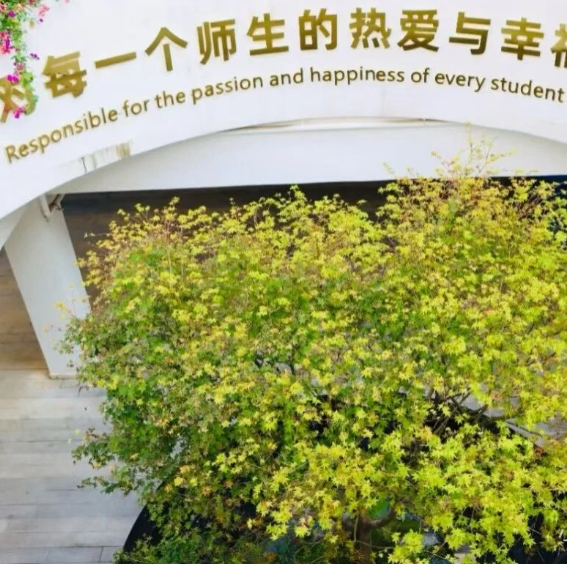 1758187130260974.png image.png